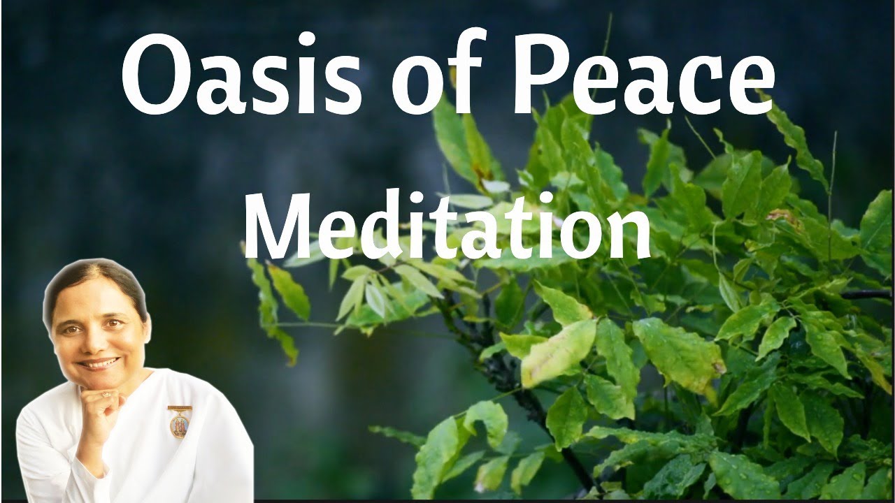 16. Oasis of Peace