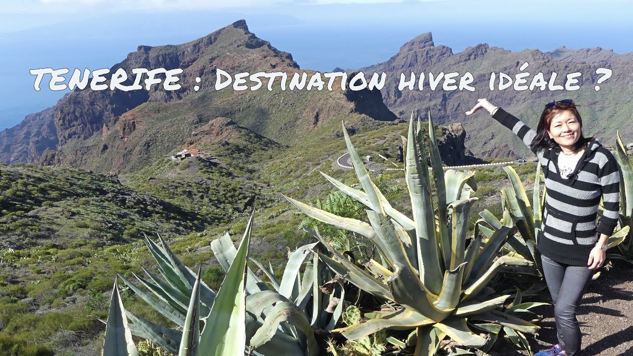 Tenerife : destination hiver idéale ?