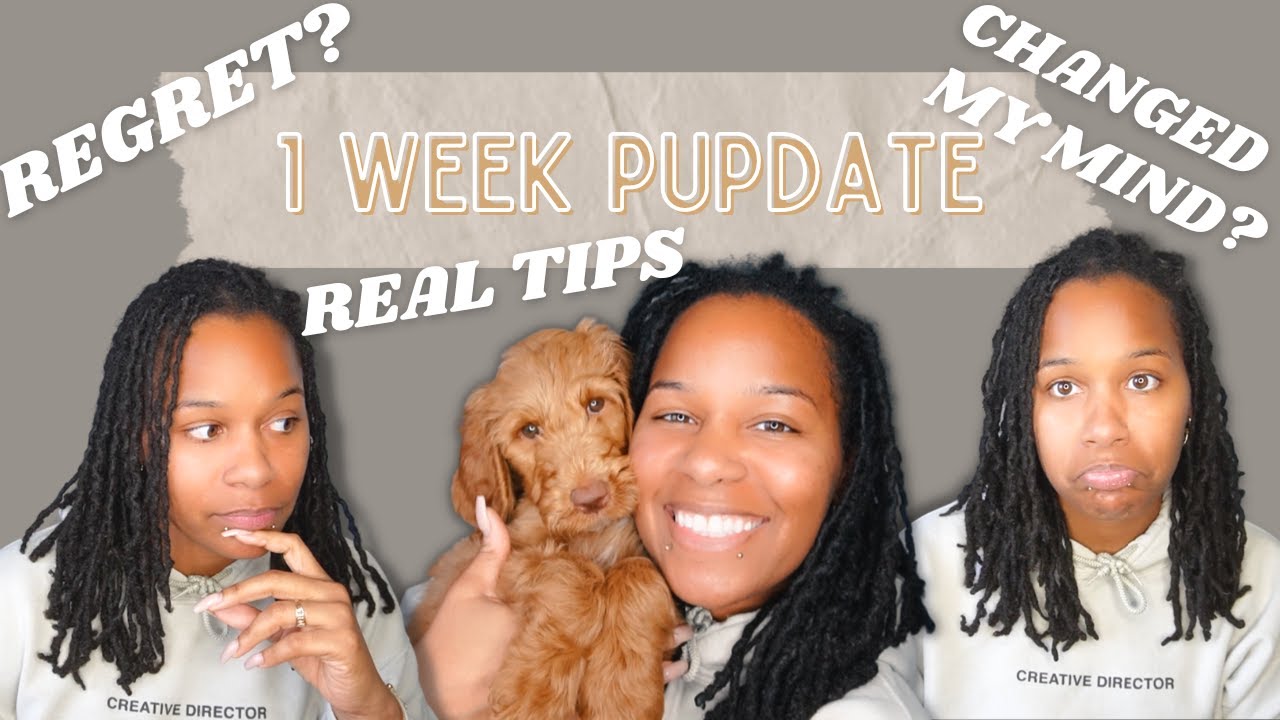 A REALISTIC FIRST WEEK WITH MY PUPPY | PUPPY BLUES | POTTY TRAINING | BITING | GOLDENDOODLE PUPDATE