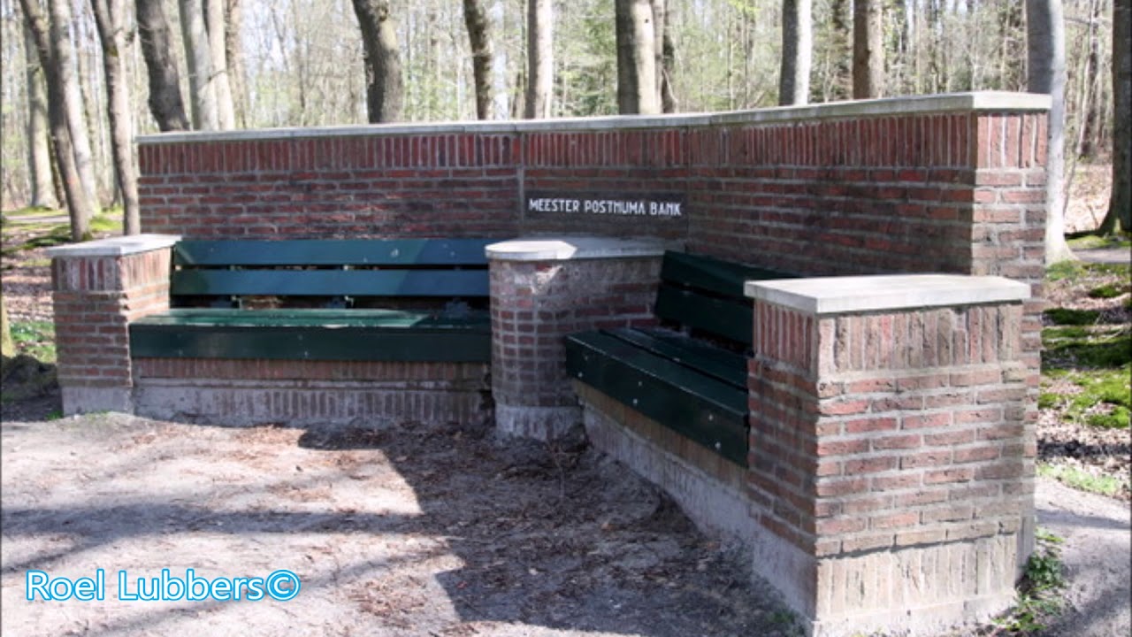 Het Natuurschoonbos te Nietap/Terheijl een lust voor het oog