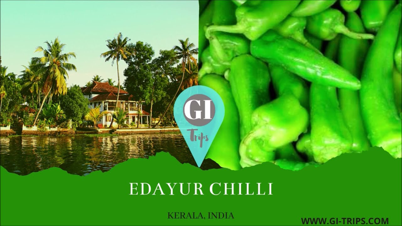 GI-tags 2021 | GI-TRIPS | Latest GI Tags of India 2021 | WWW.GI-TRIPS.COM | Book your GI-Tour