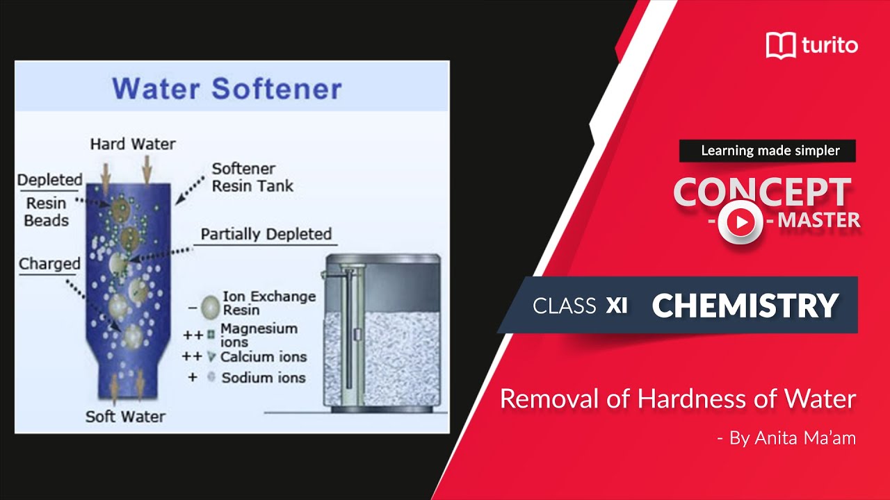 Turito - Concept Master - Grade 11 - Chemistry - Removal of Hardness of Water - Anita Ma'am