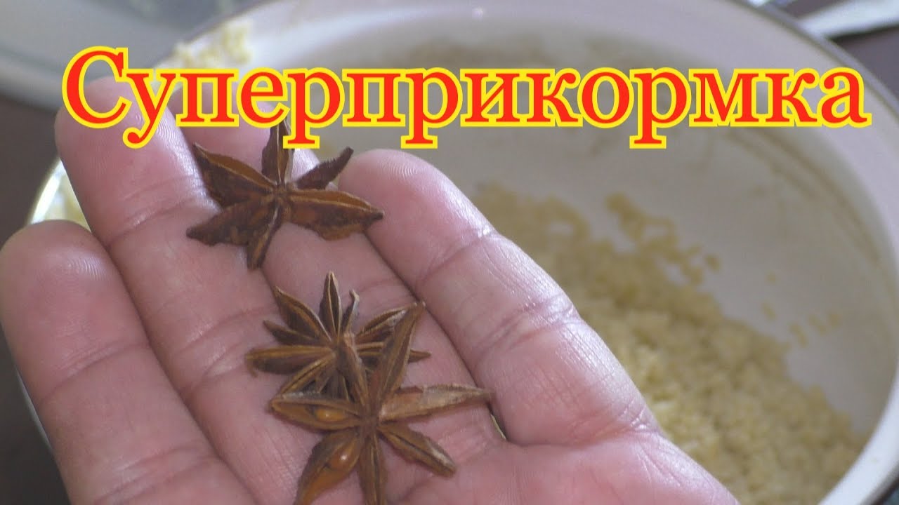 Супер прикормка для рыбалки : пшено + секрет. My fishing