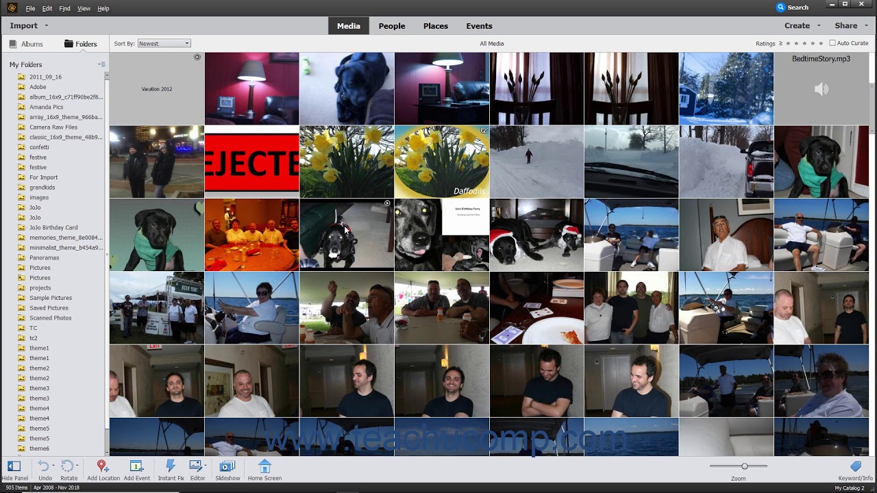 Photoshop Elements 2021 Tutorial The Organizer Environment Adobe Training