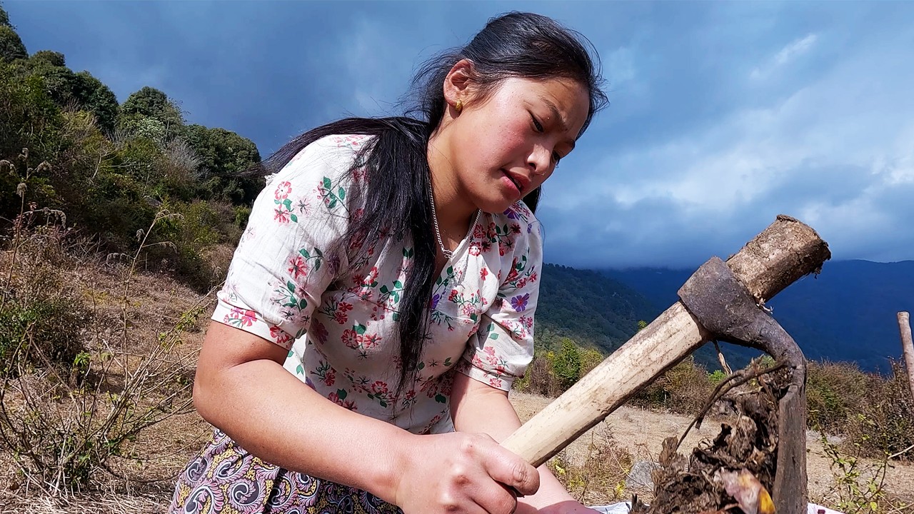 manjita rai is busy in her day time || shepherd life of Nepal || Himalayan @pastorallifeofnepal