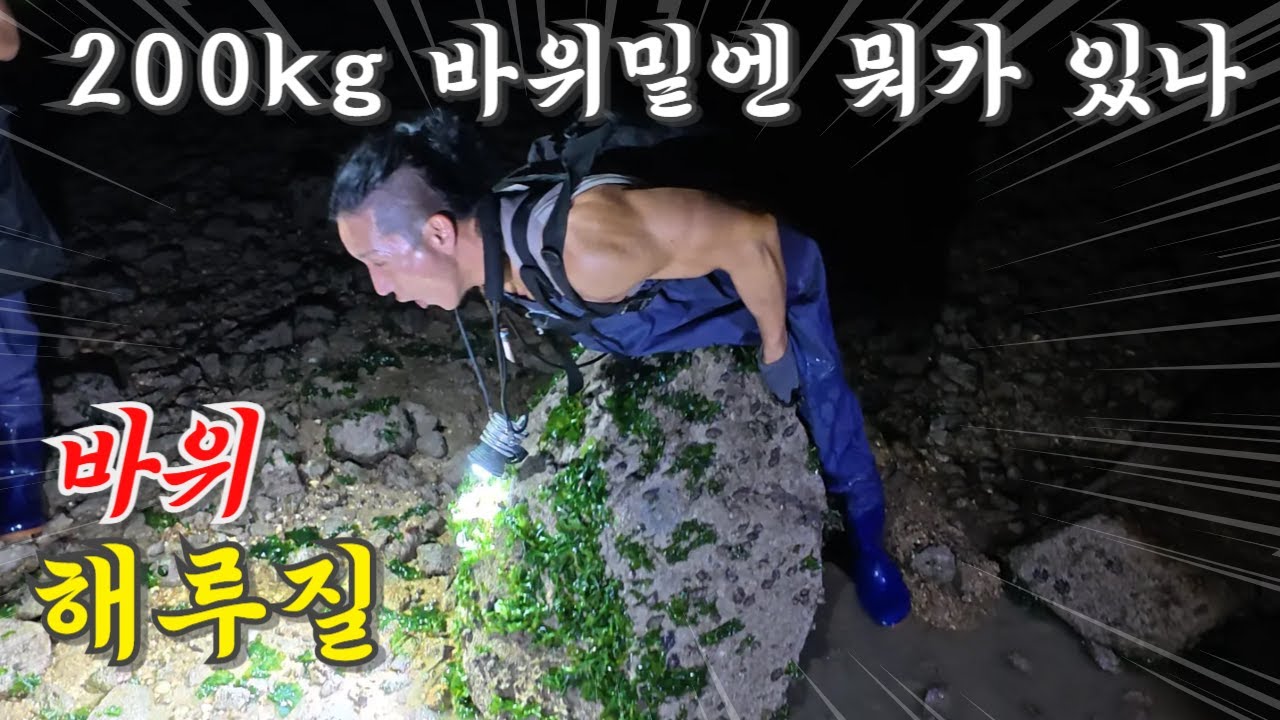 200kg 바위를 들어 올렸더니... 상상도 못한 해산물이 나왔습니다🔥
