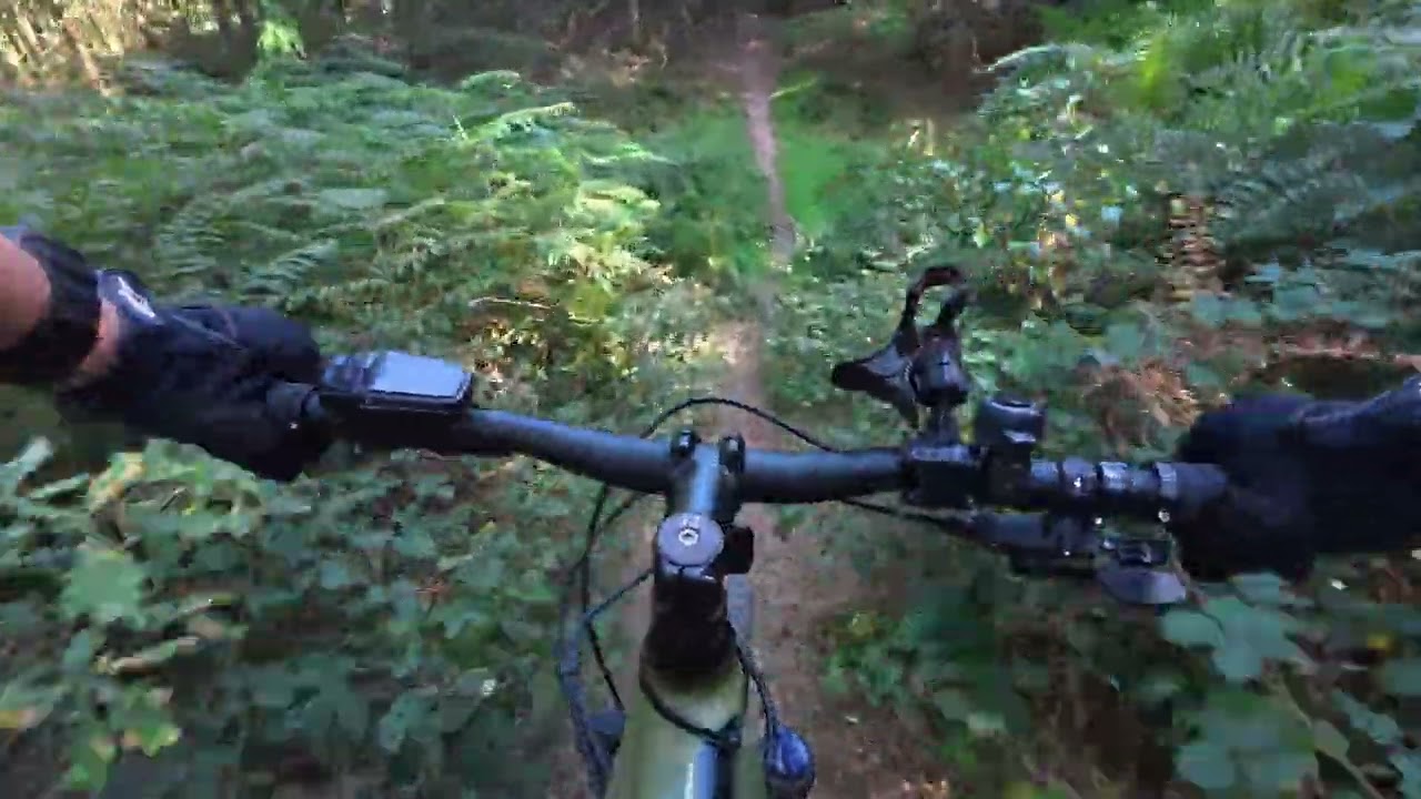 Cannock Chase by mountain bike - 25/08/25