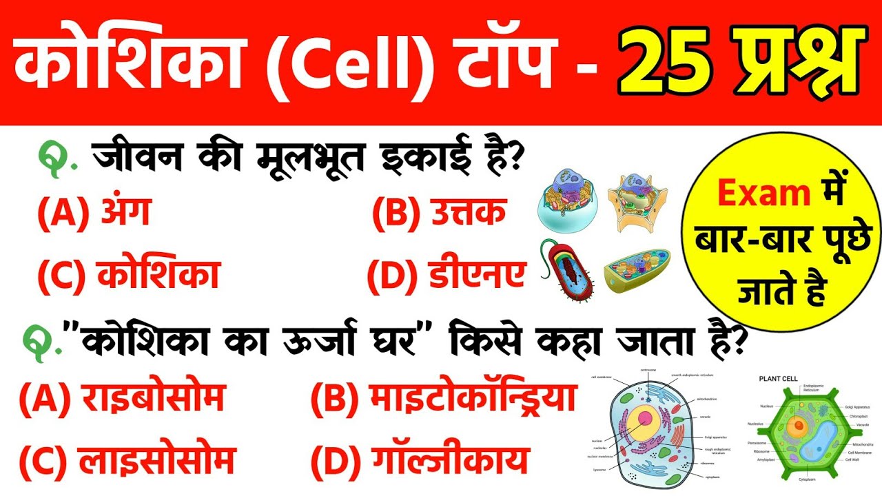 कोशिका से संबंधित महत्वपूर्ण प्रश्न | Biology Important questions | General Science for ssc exams