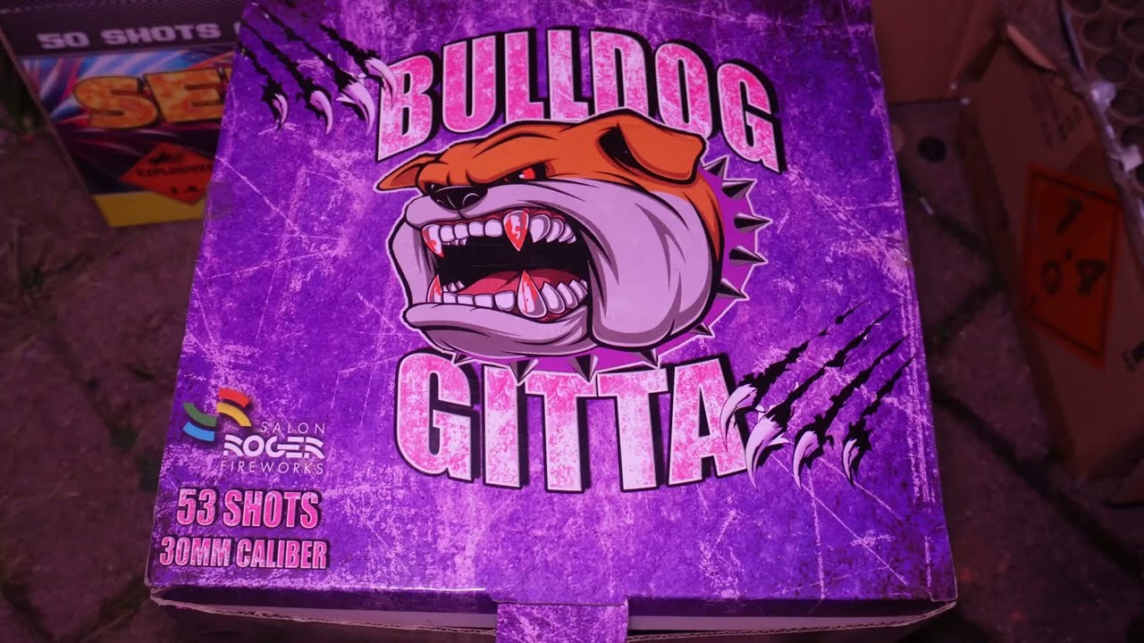 PYRO DOMSTAD UTRECHT VLOG#162 BULLDOG GITTA 53SHOTS VAN LOOTS VUURWERK! 30MM KALIBER!! KEIHARD!