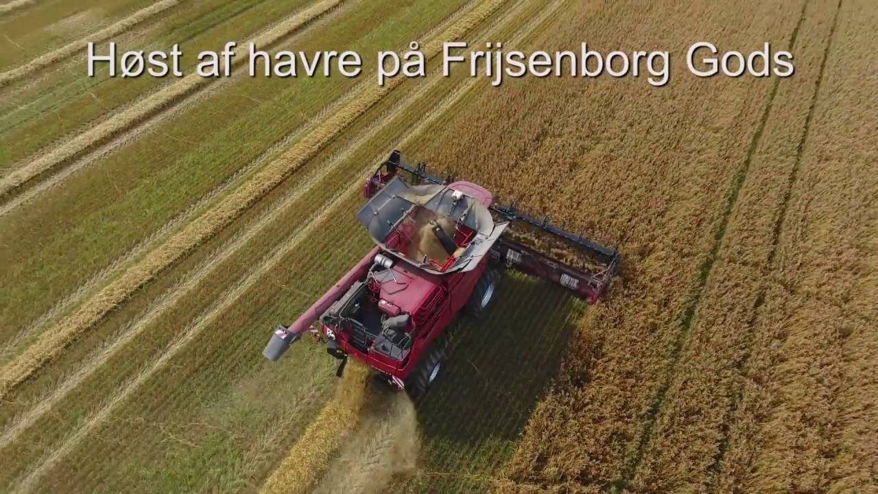 Havre fra Frijsenborg bliver til Davre Havregryn