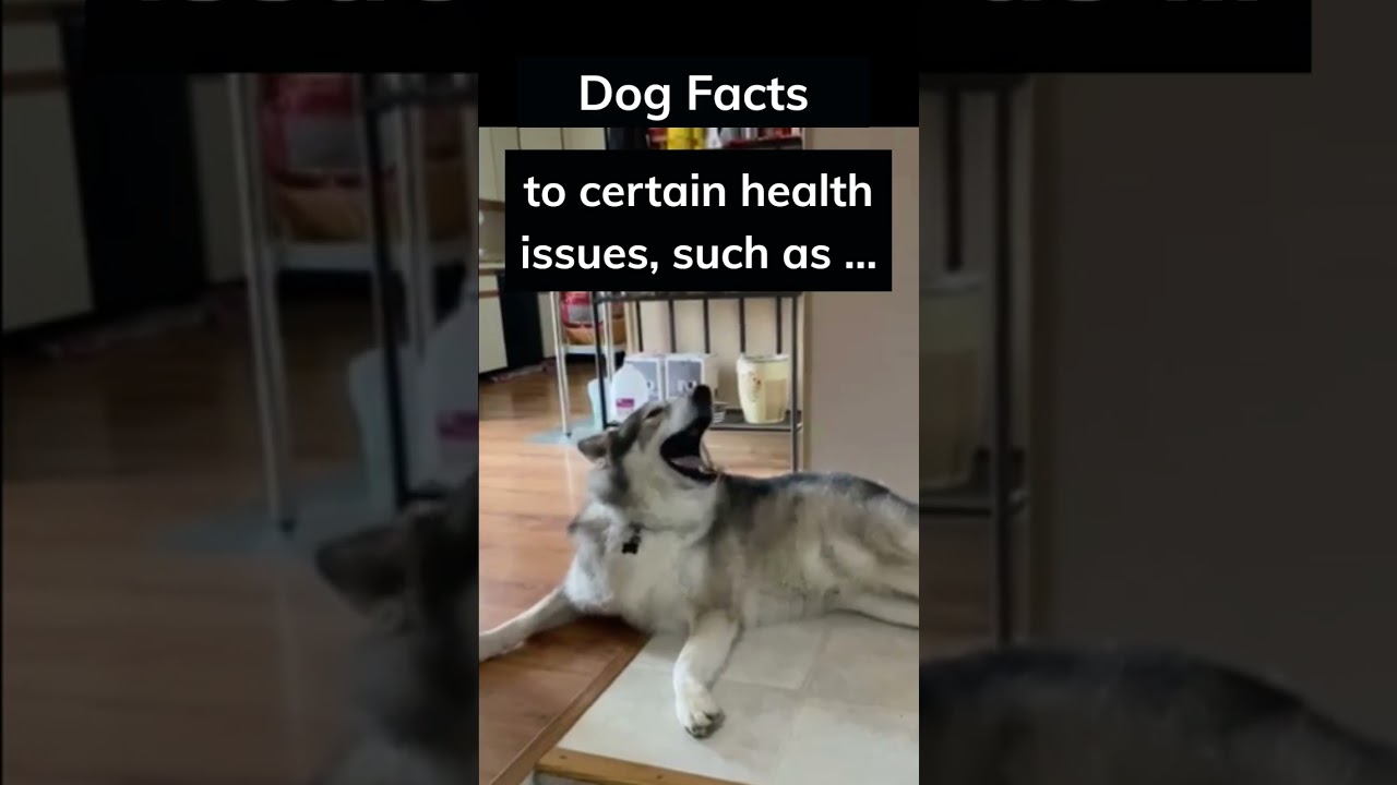 Health Issues 