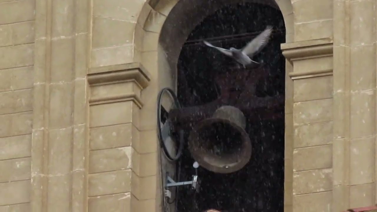 (Albacete) Volteo de 2 campanas en la Catedral de San Juan