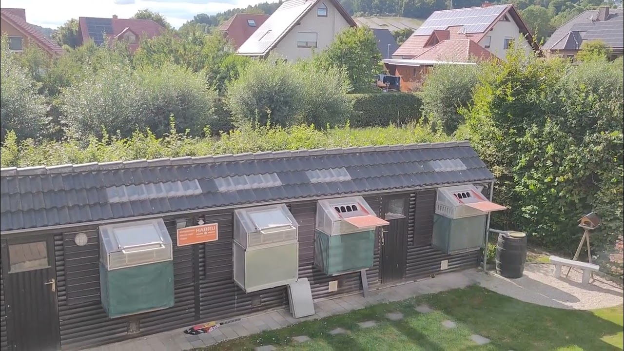 Der 2. Jungflug 2025 / 2. Race of the youngsters 