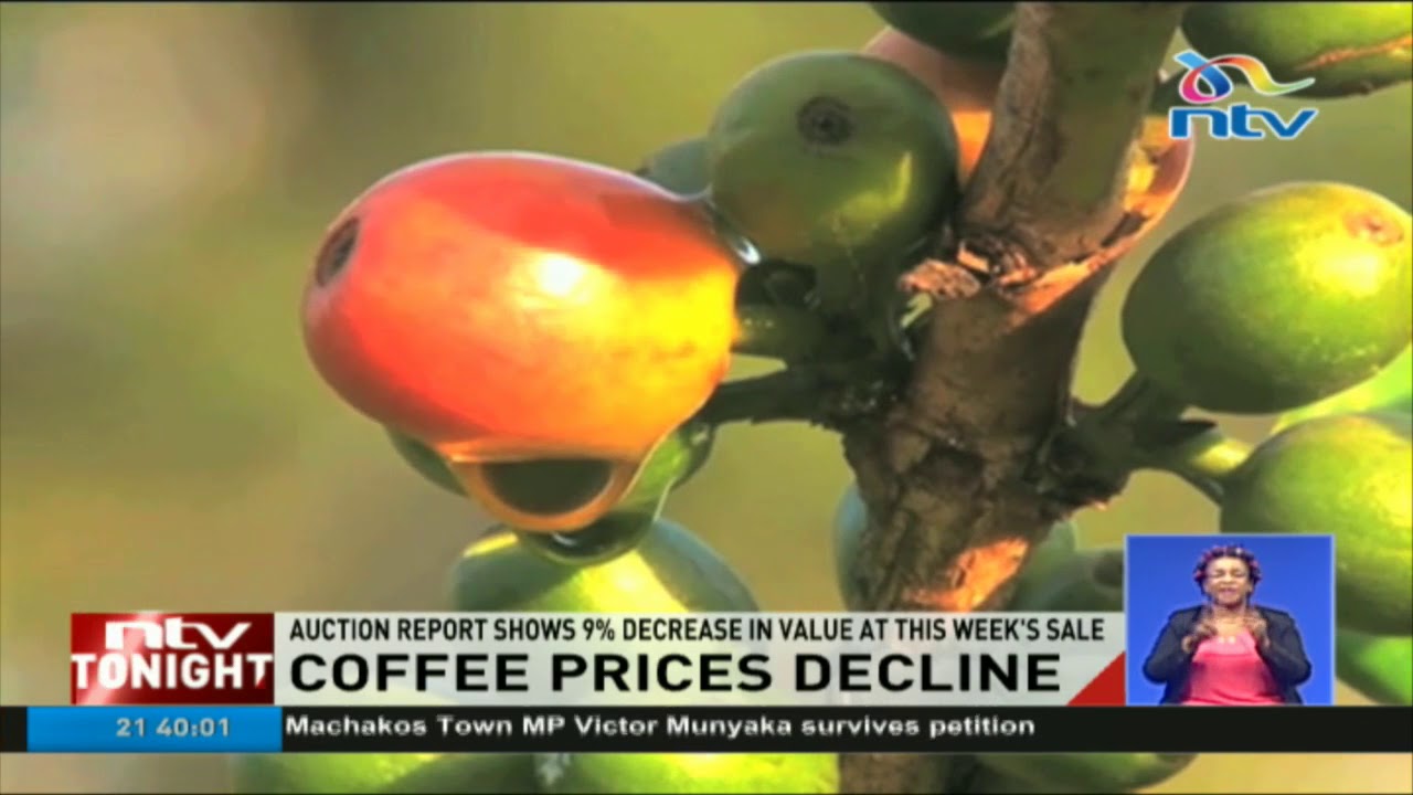 Coffee prices at the Nairobi Coffee Exchange drop by 9% in this week's sale