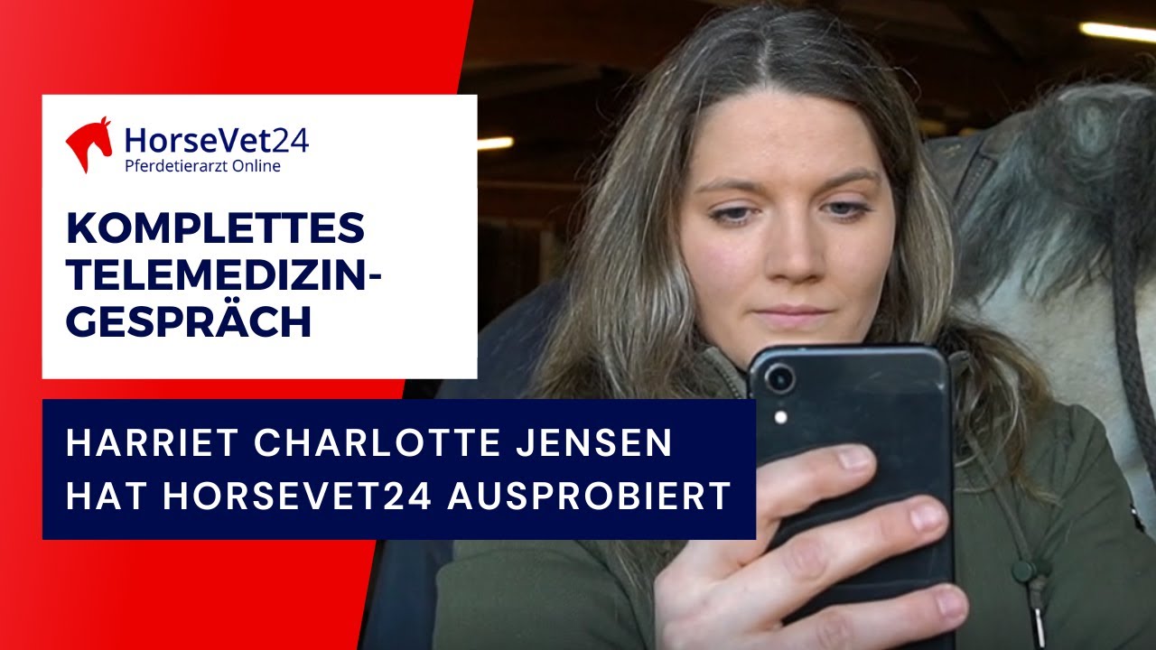 Pferd hat angelaufene Beine - gesamtes telemedizinisches Gespr&auml;ch - Erfahrung HorseVet24
