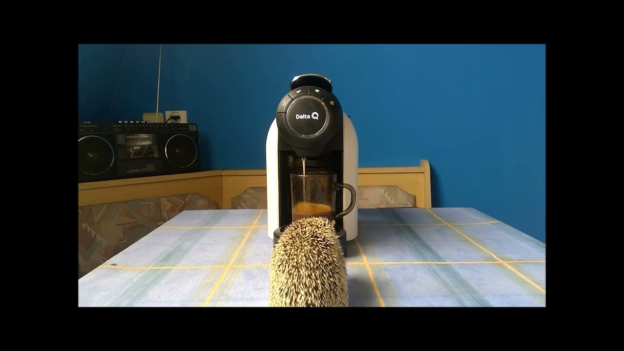 Coffee Machine Delta Q Milk QOOL (Hedgehog Service)