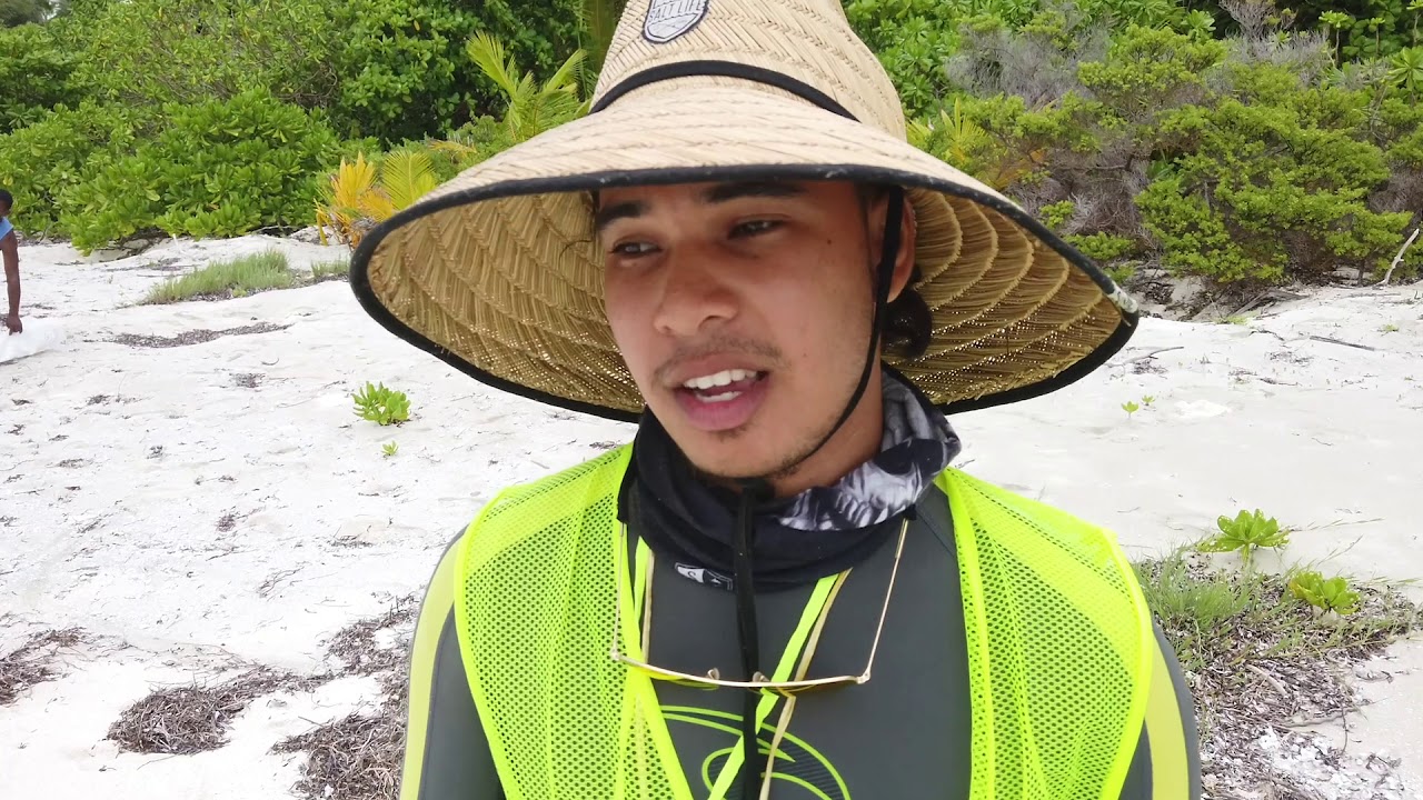 LUIGI DELPECH CLEANING COETIVY