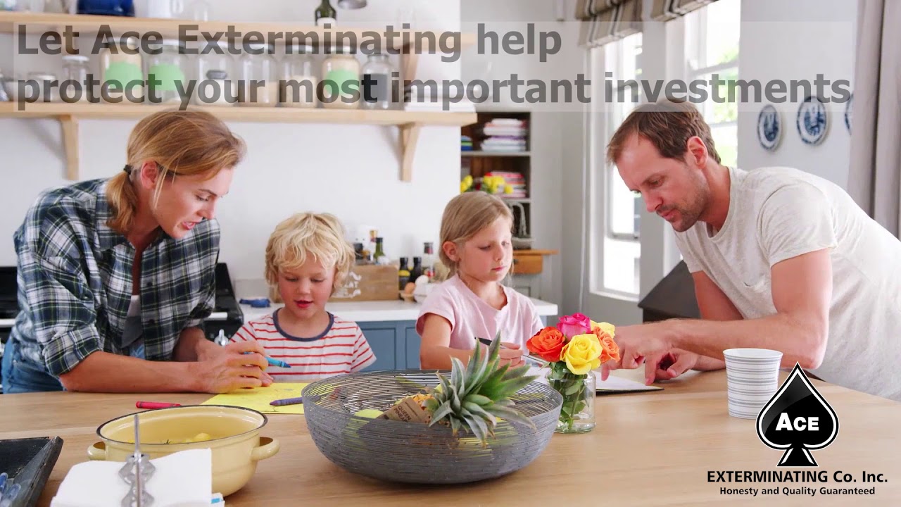 Let Ace Exterminating help protect your most important investments