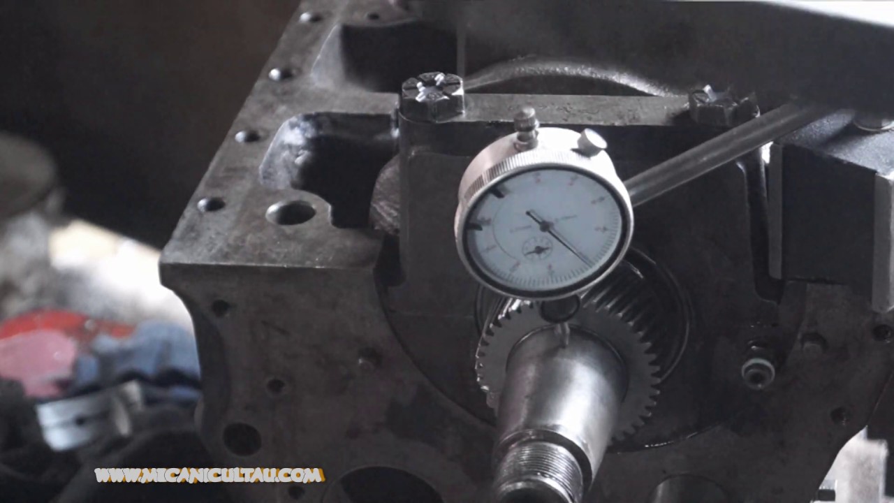 RK D115  CUM MONTAM ARBORE JOCUL RADIAL  LA PAliER CONFORM TEHNOLOGIEI DE REPARARE - PRIETEN DRAGOS