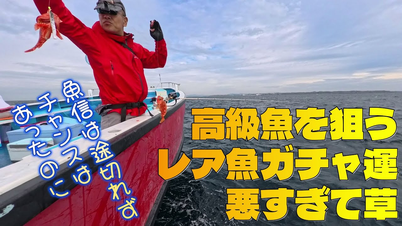 餌を変えると釣れる魚が変わる。大きな鮭皮でマハタ狙うもアヤメカサゴに阻まれる！～魚信途切れずチャンスはあった気がする～（2025.10.4 三崎港・えいあん丸 ライト根魚五目）