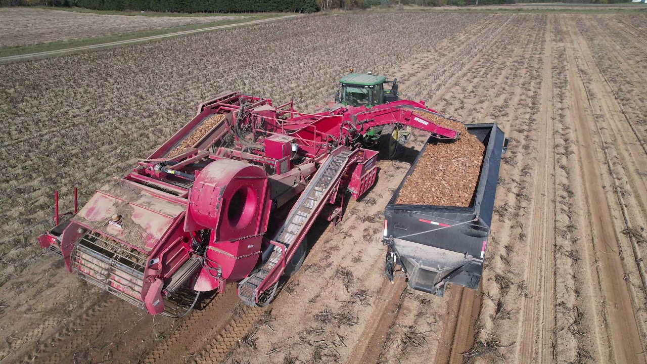Pelletier Farms - Potato Harvest 2021