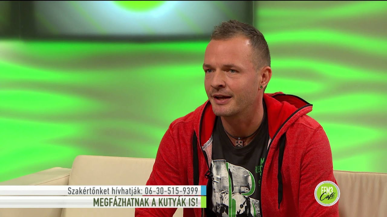 Megfázhatnak a kutyák is! - 2014.11.26. tv2.hu/fem3cafe