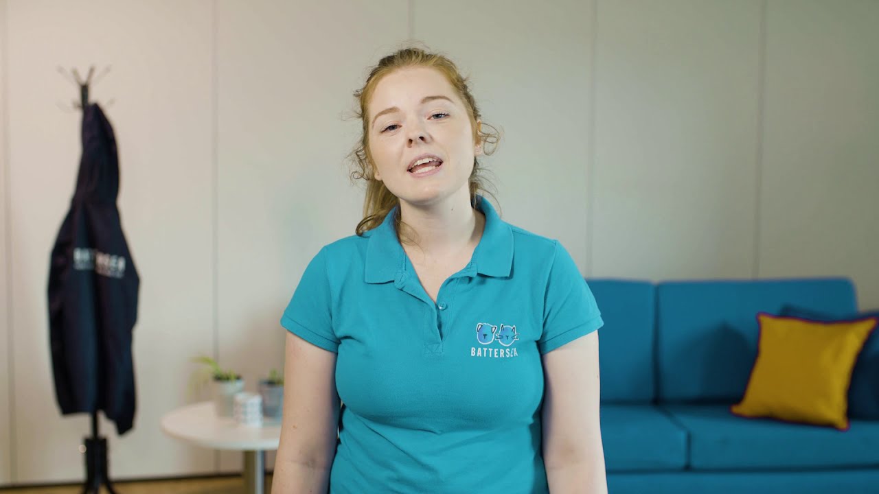 How to Stop Your Puppy or Dog Jumping Up | The Battersea Way