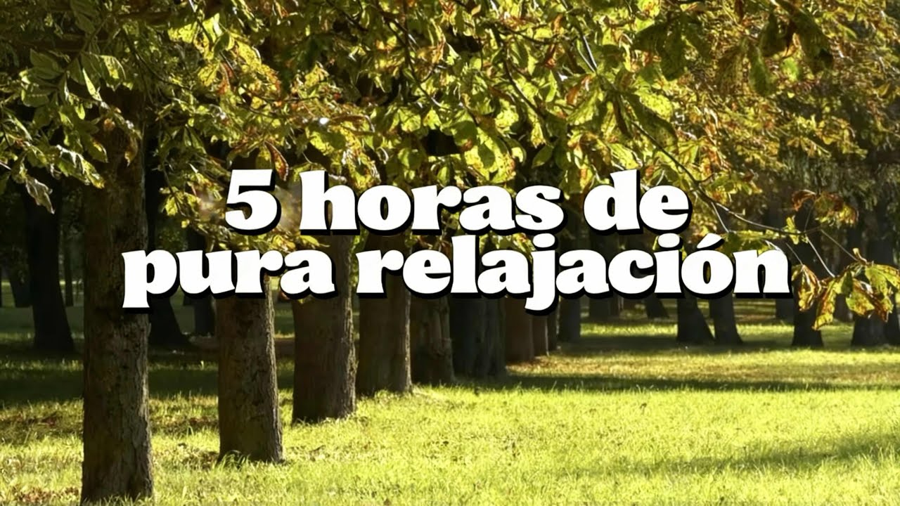 5 HORAS DE RELAJACIÓN AL MÁXIMO 🧘‍♂️ | Música Suave para Dormir, Meditar y Liberar Estrés #yonnysanz