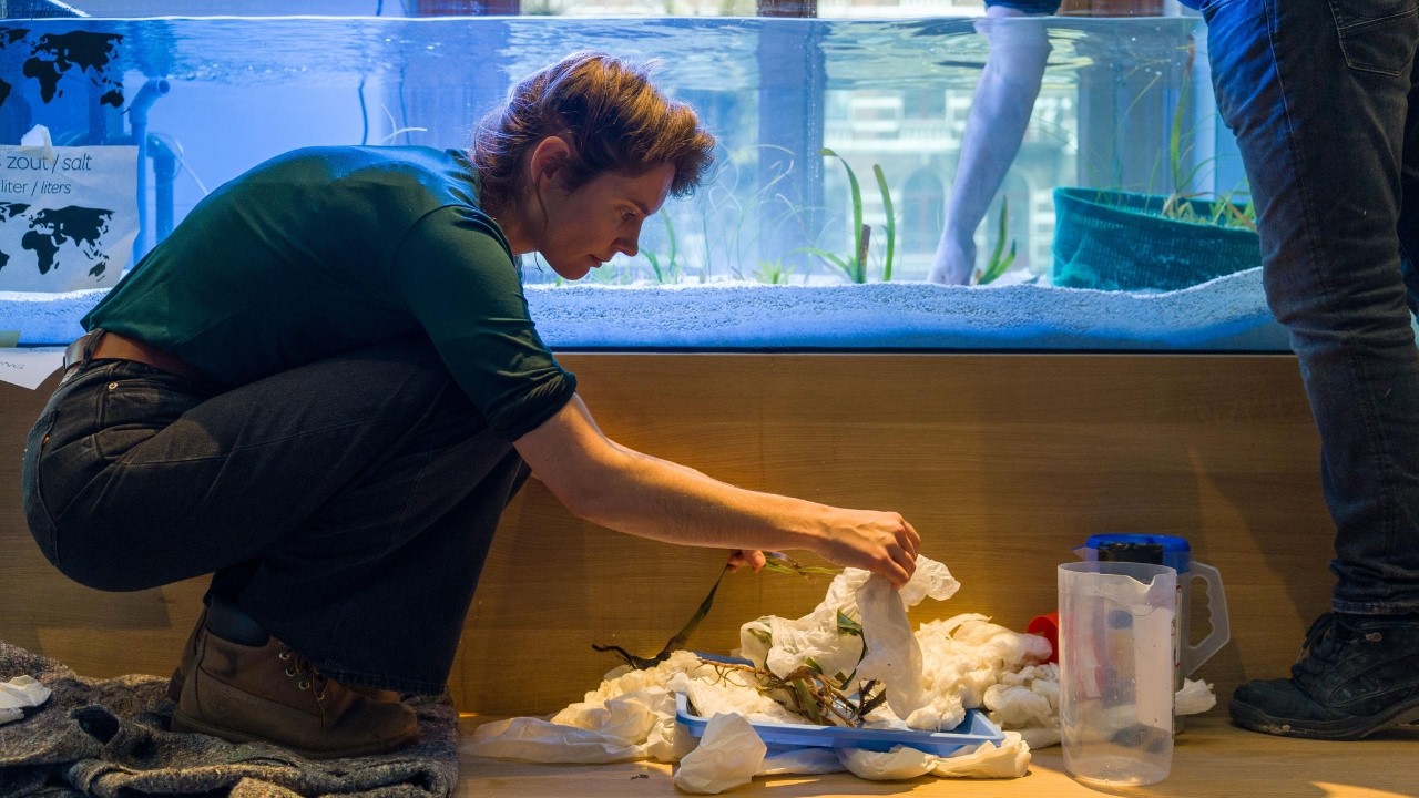 Van Caribische Oceanen naar ARTIS-Aquarium 🐠