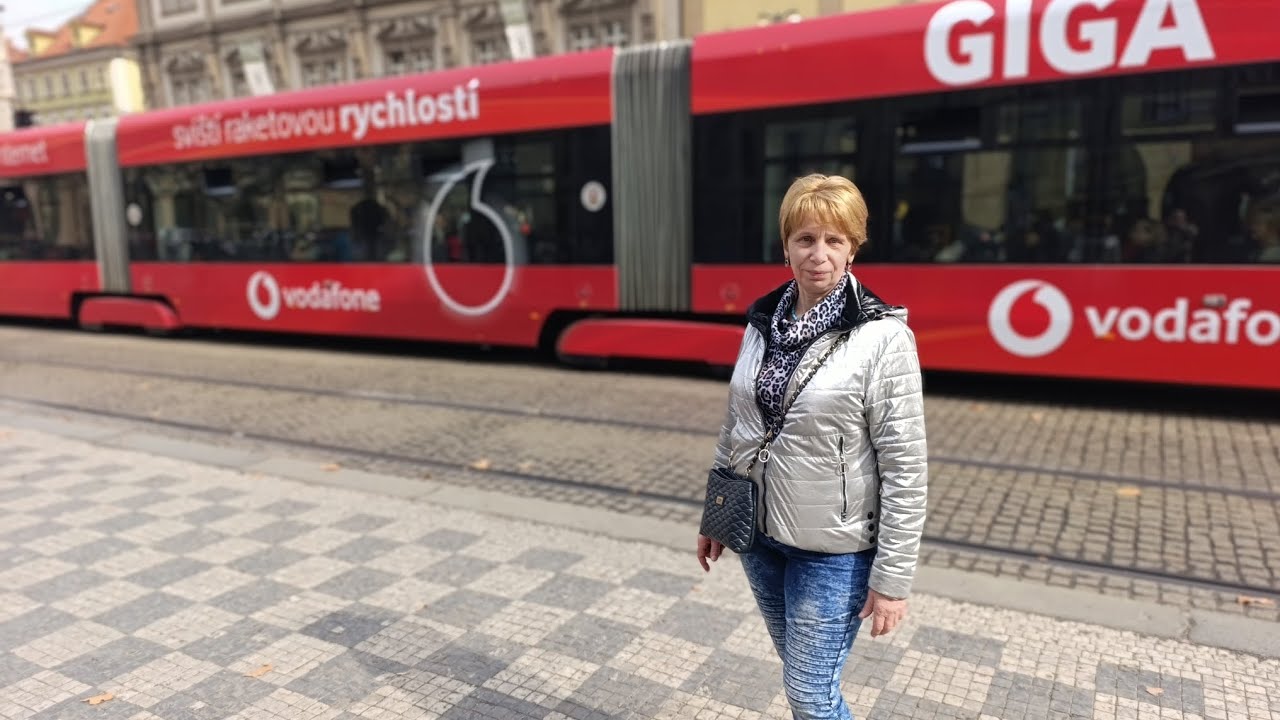 3087       АВТОБУС176