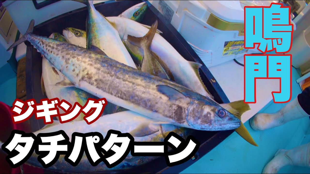 鳴門サワラジギング！タチウオパターンで攻めるが、準備不足により悲惨に、、、【遊漁船　大翔丸】#サワラ 