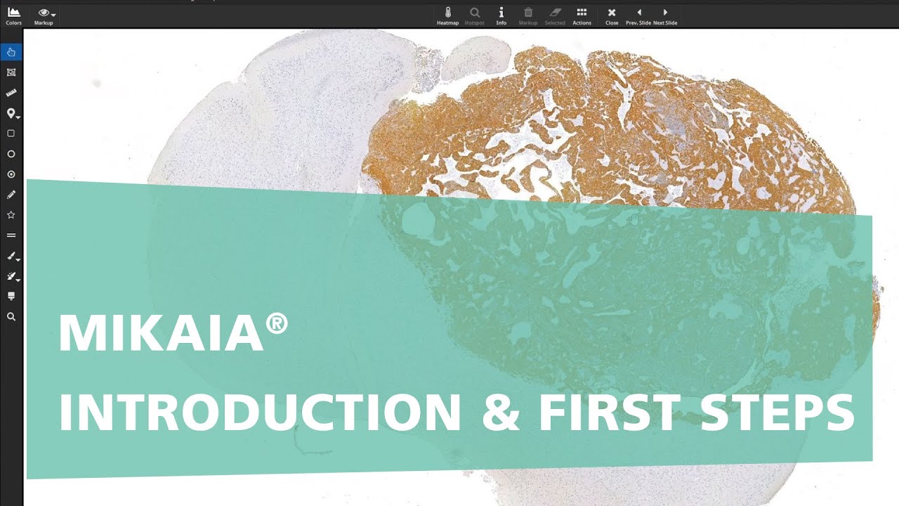 MIKAIA® Introduction & First Steps