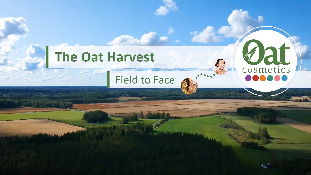 From Field to Face: Oat Harvest