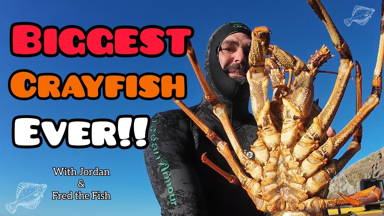 My BIGGEST Crayfish Ever [ with Jordan and Fred the Fish ]