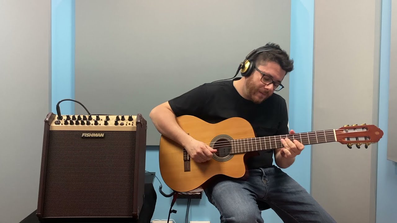 FISHMAN | LOUDBOX PERFORMER - Amplificatore per Strumenti Acustici e Voce