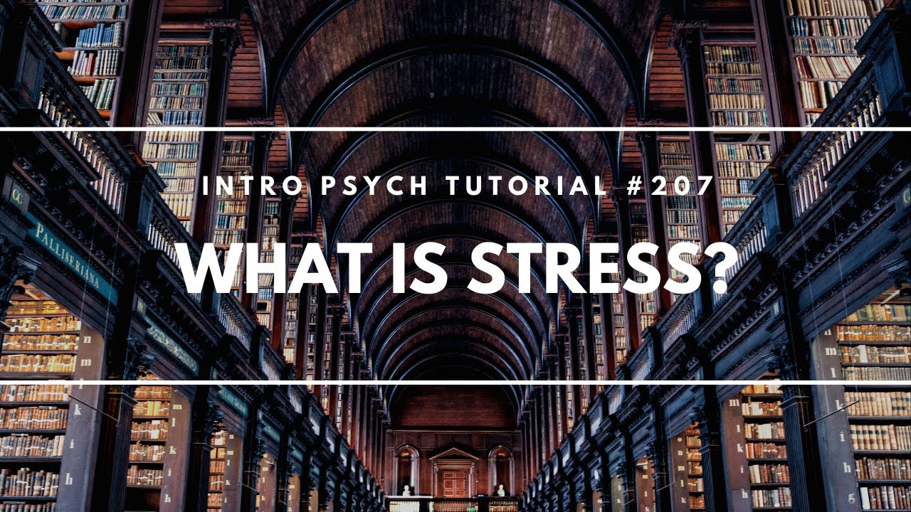 What is Stress? (Intro Psych Tutorial #207)
