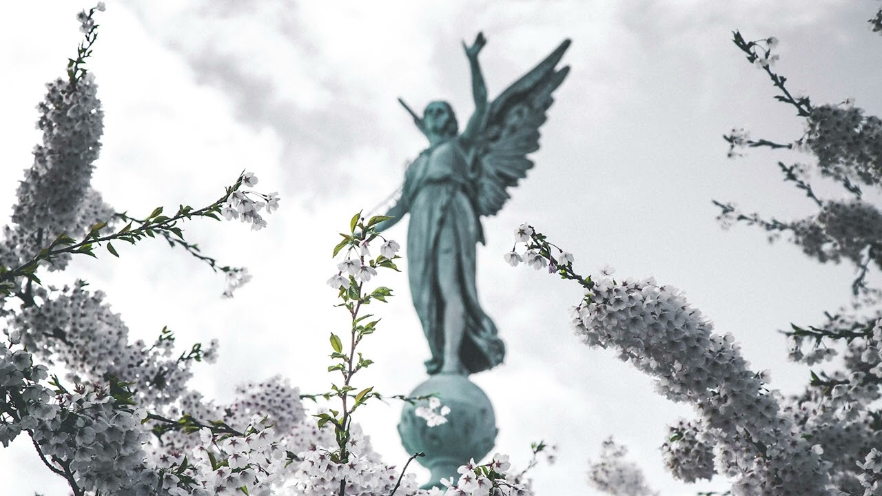 June - Florence and the Machine (Slowed & Reverbed)