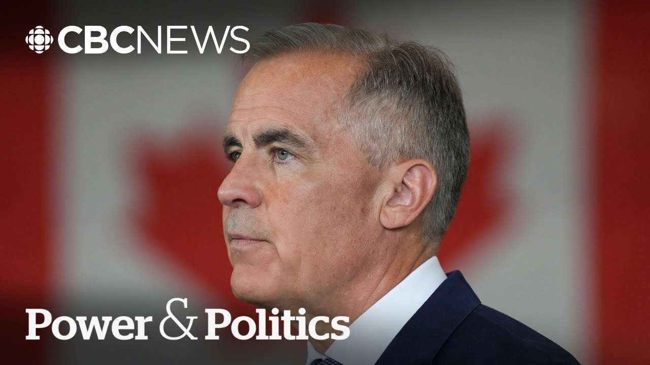 Will new protections help Canada's steel sector weather U.S. tariffs? | Power & Politics