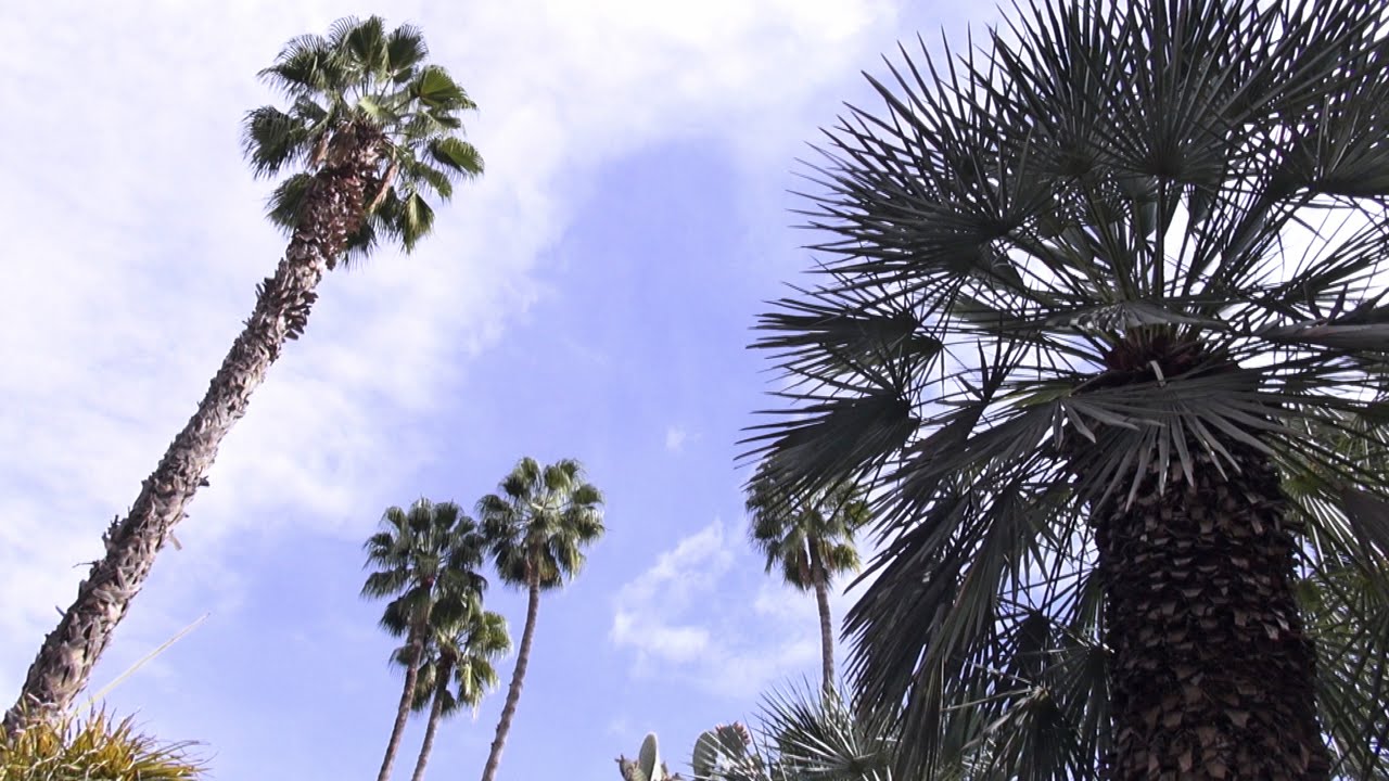 Jardin Majorelle, Marrakech