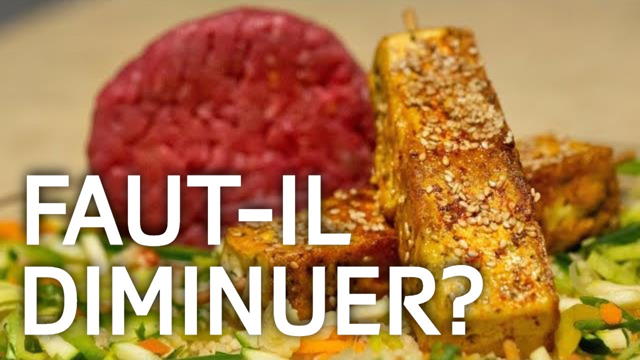 Mangeons-nous trop de viande ? | ABE