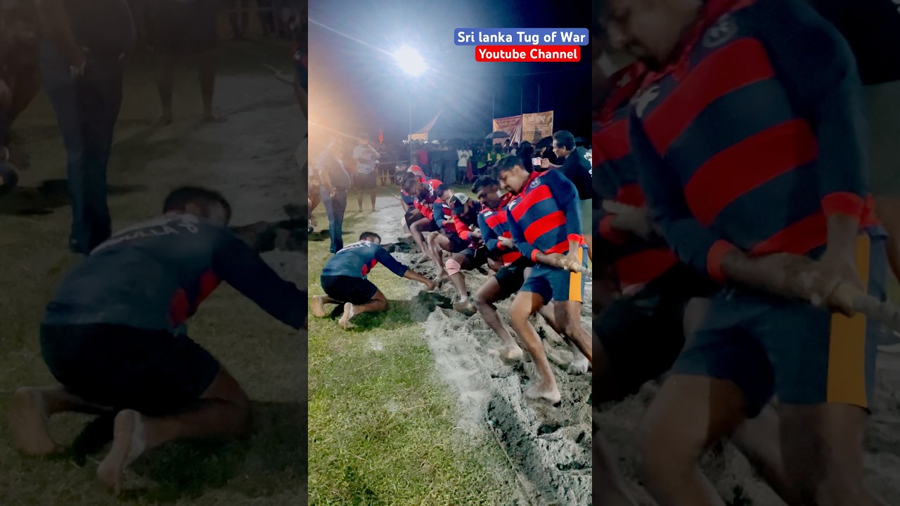 800Kg Tug of War 💥👌 Ganemulla | Barefoot #shorts #tugofwar #tugofwarsrilanka