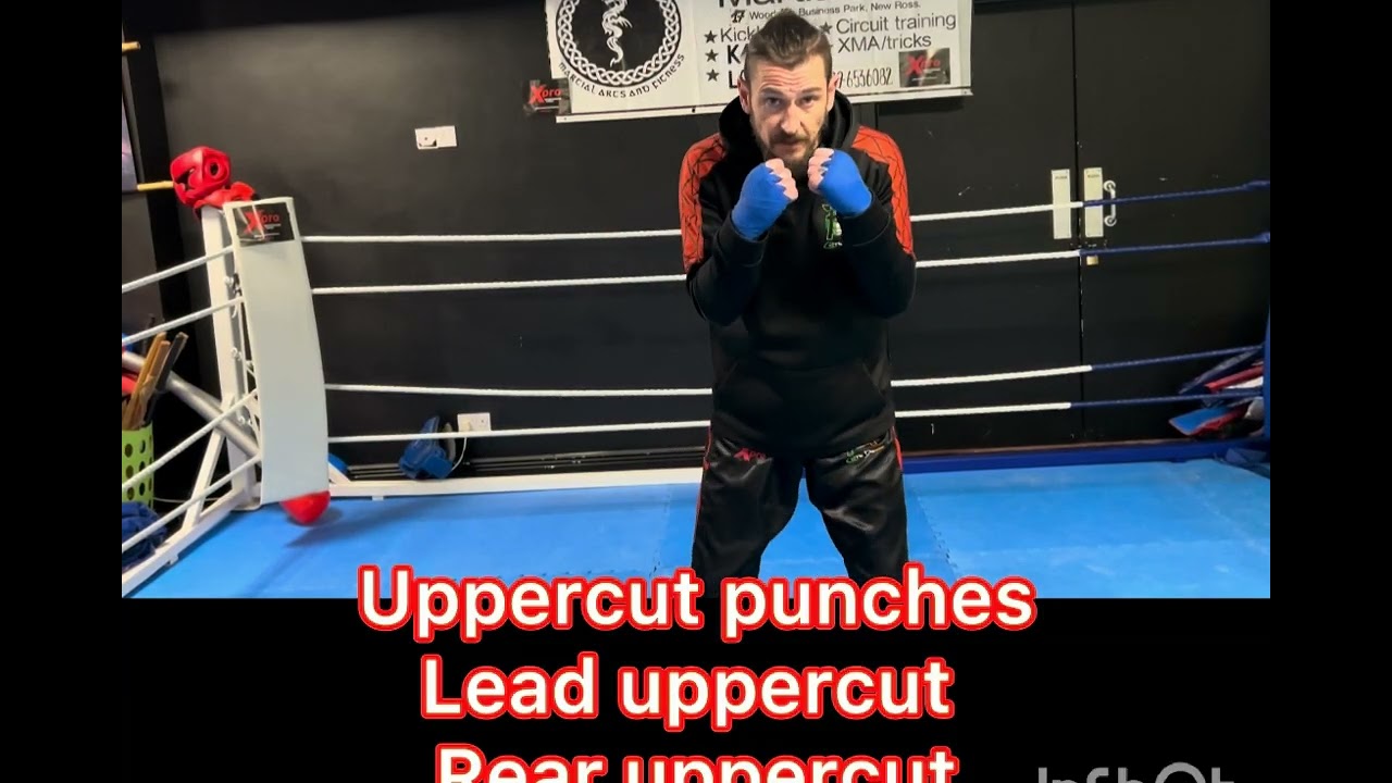 Basic stance, punches and combo tutorial
