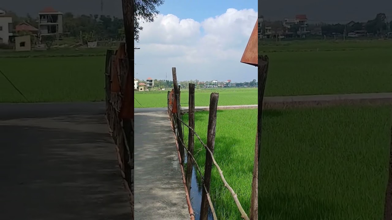 Khách sạn giữa đồng lúa đẹp