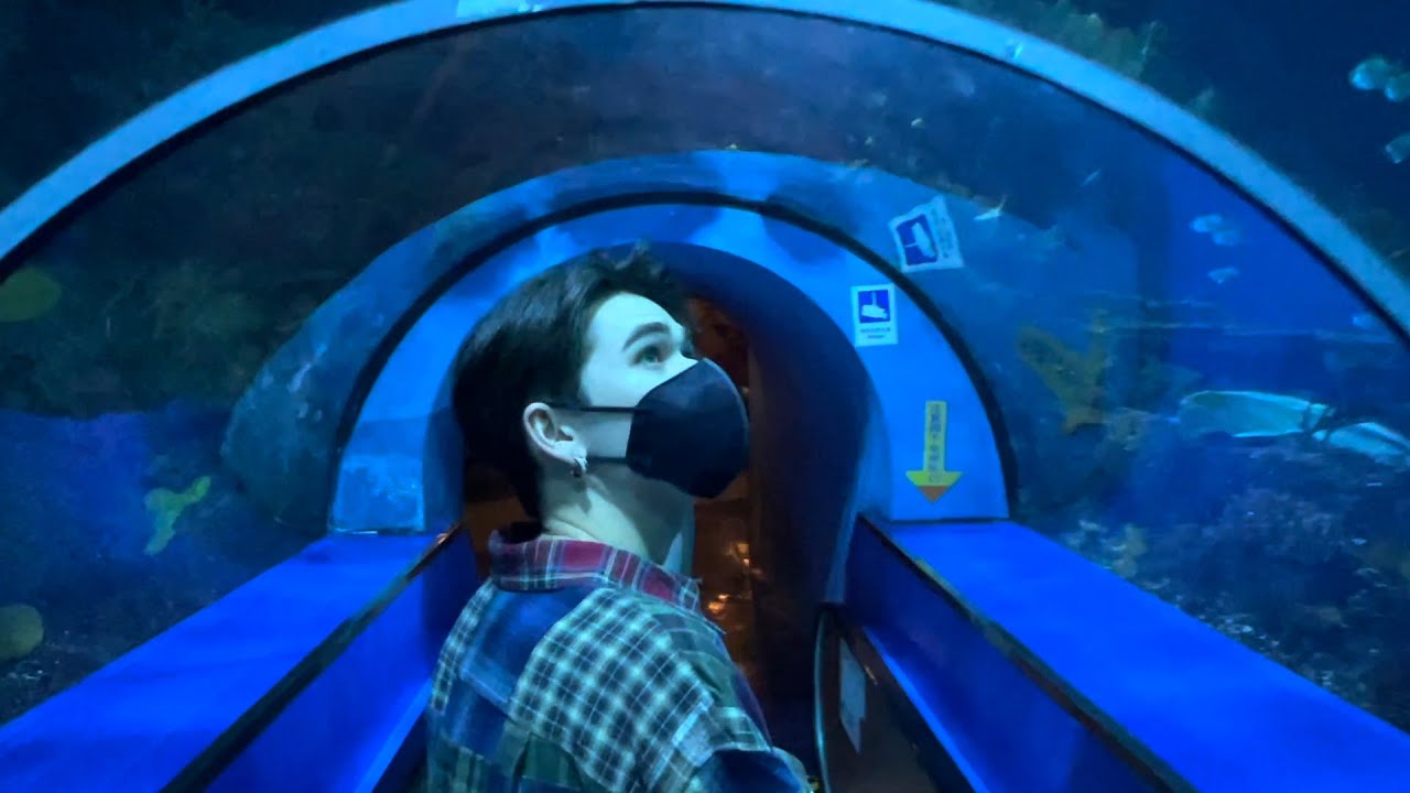 Caelan's Vlog - He's going to the aquarium!!