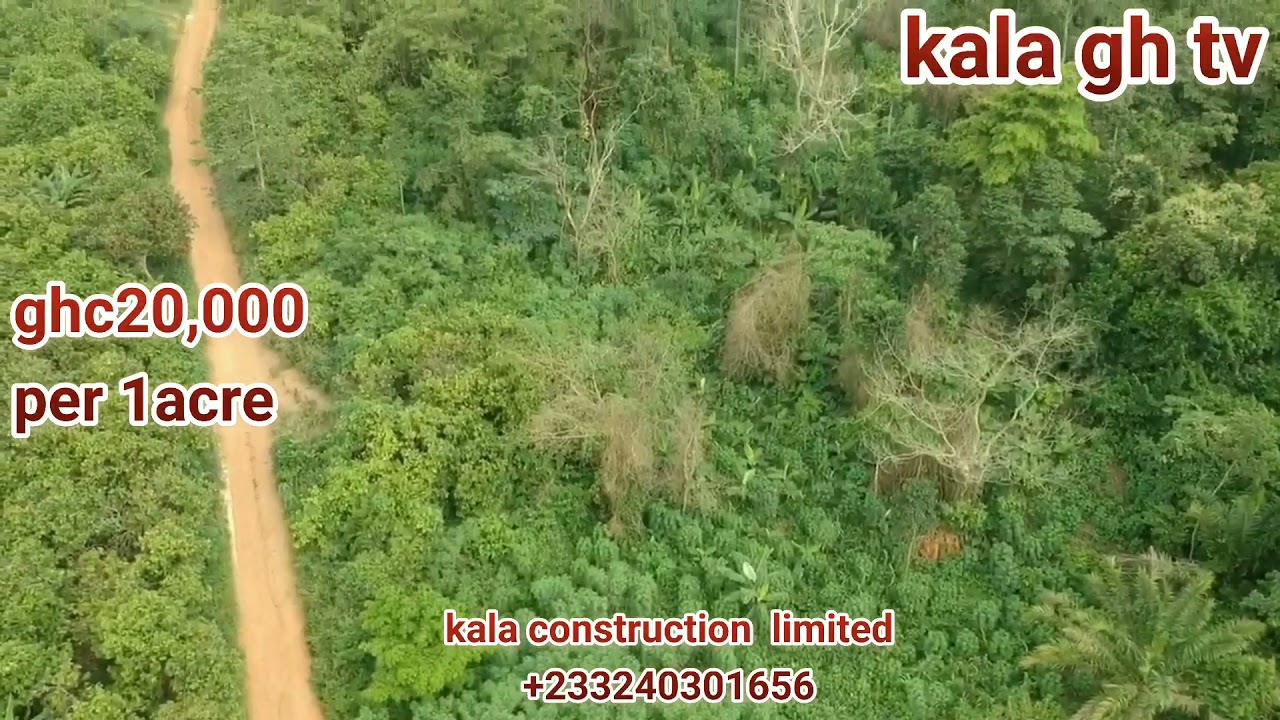 Farm land for sale in 🇬🇭🇬🇭kumasi Ejisu, kubase area cheap price 🇬🇭✌✌😎🇬🇭