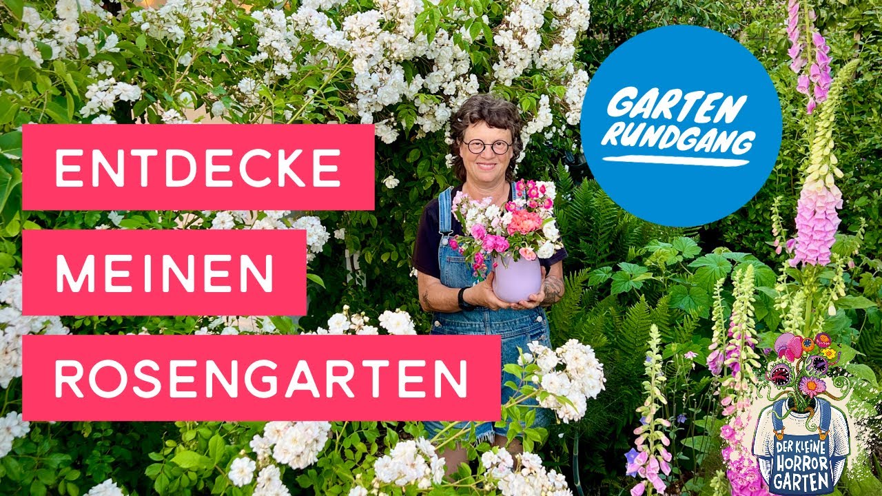 Mai Gartenrundgang- mein Garten ist voller Rosen &ndash; Wie ist das passiert?