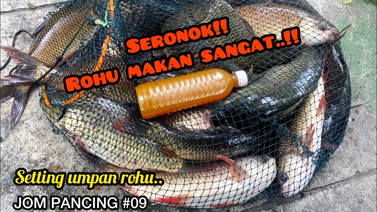 CARA BUAT UMPAN IKAN ROHU #VOL2 | JOM PANCING #09