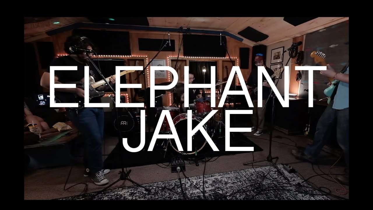 Goodness to Honest | Elephant Jake