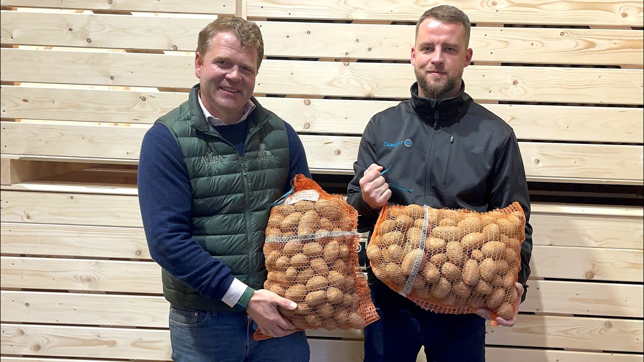 Dwie pieczenie na jednym ogniu - chłodzenie ziemniaków i ogrzewanie domu. Projekt Avena i Omnivent