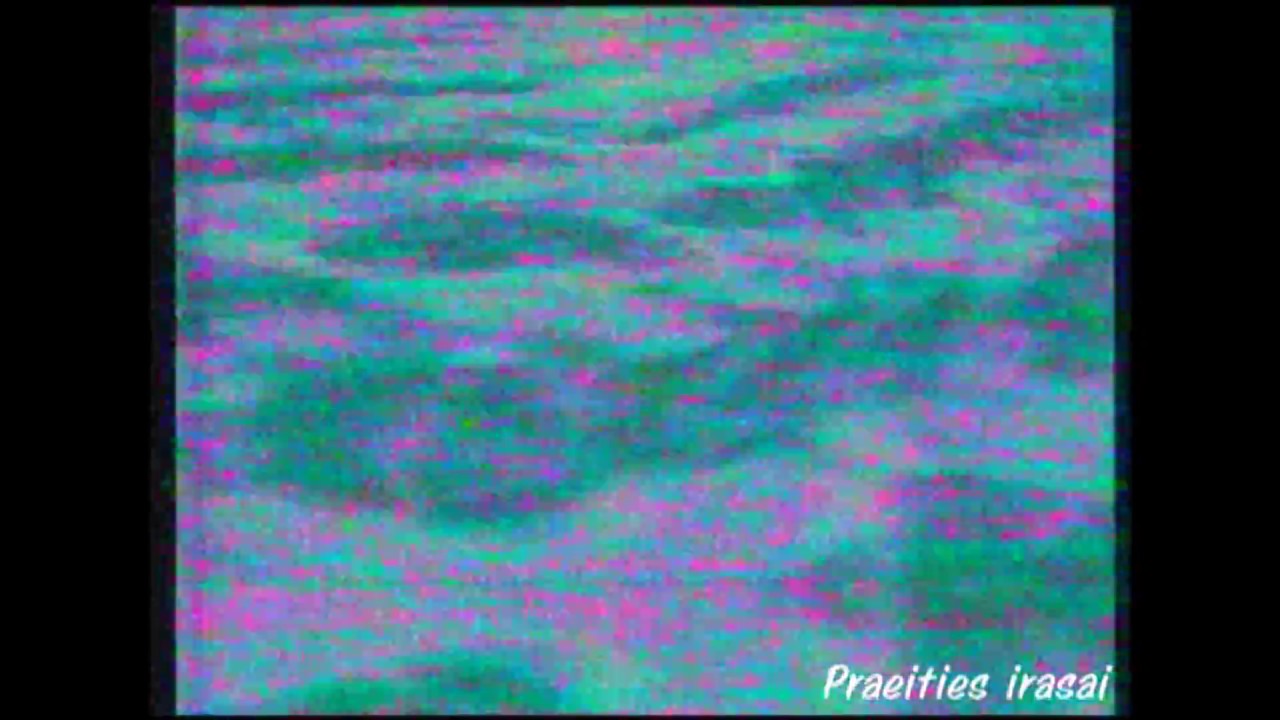 Lnk Tele kazino anonsas 1997 metai